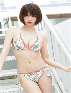 新杨门女将电视剧