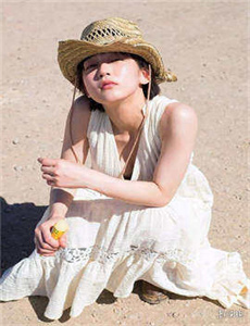 愤怒的小鸟：夏日疯狂